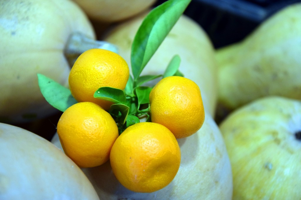 Foto de Almuñecar (Granada), España