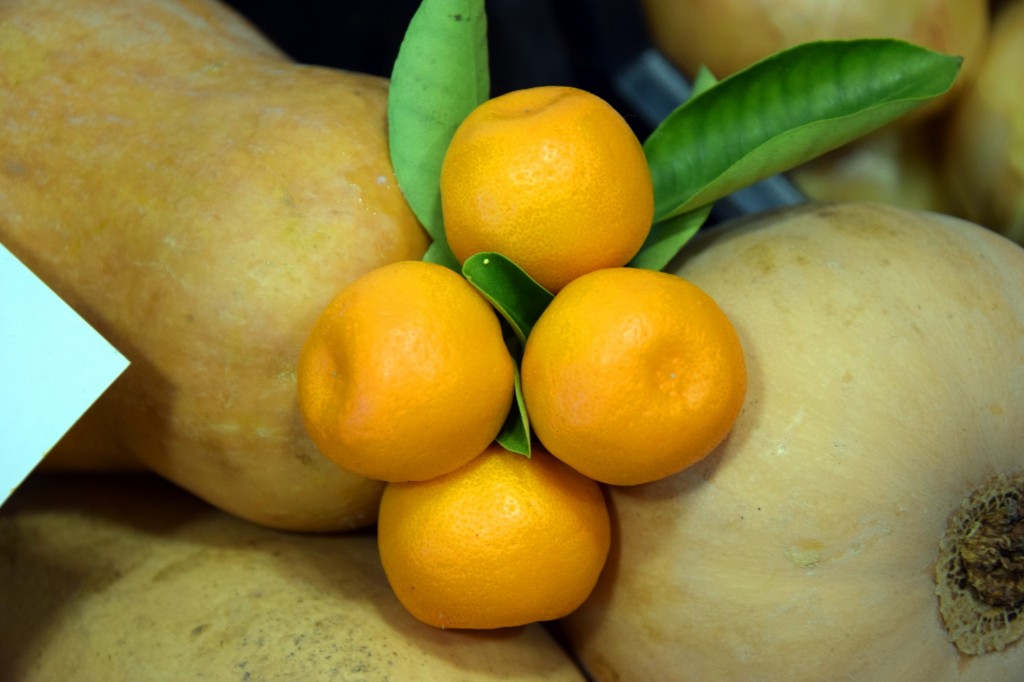 Foto de Almuñecar (Granada), España