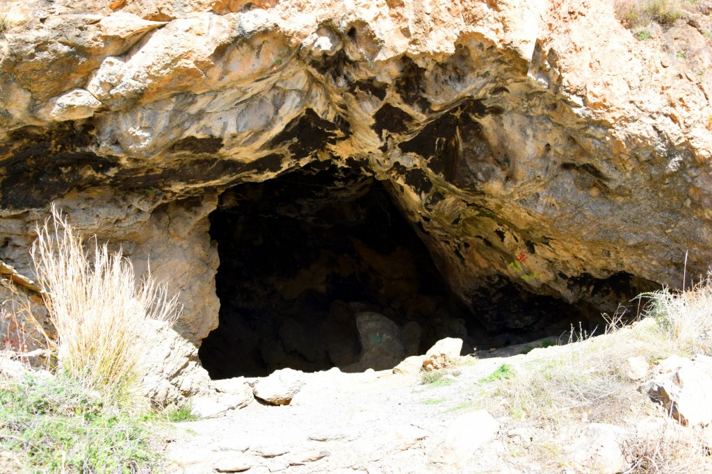 Foto: Formada la  sobre tierra caliza - Orgiva (Granada), España