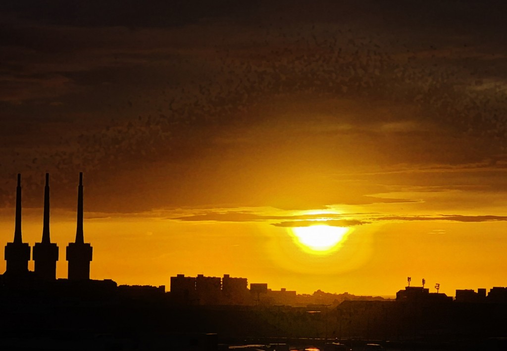 Foto: Amanecer - Sant Adrià de Besòs (Barcelona), España