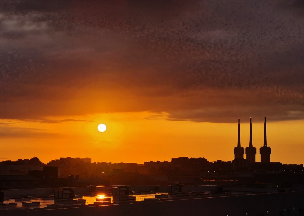 Foto: Amanecer - Sant Adrià de Besòs (Barcelona), España