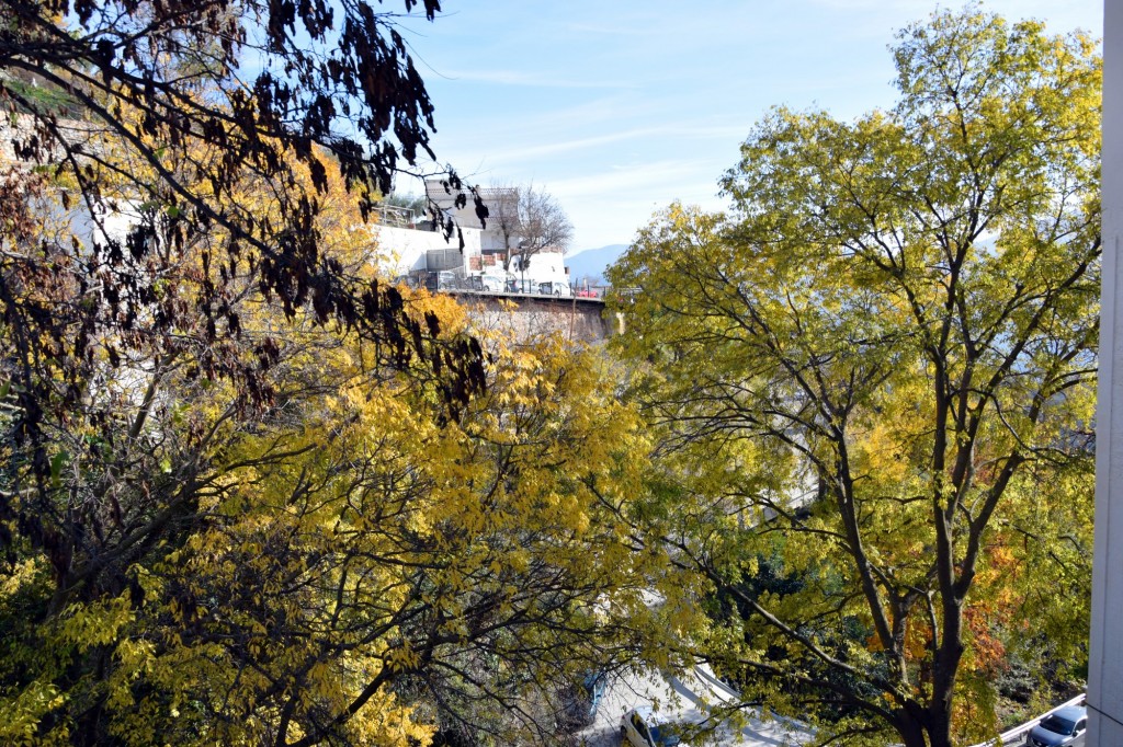 Foto: Hacia el Área recreativa Puente Palo - Soportujar (Granada), España