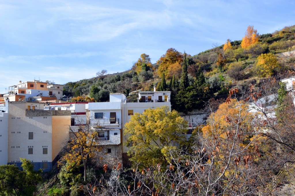 Foto: En Agosto celebra la Féria del Embrujo - Soportujar (Granada), España