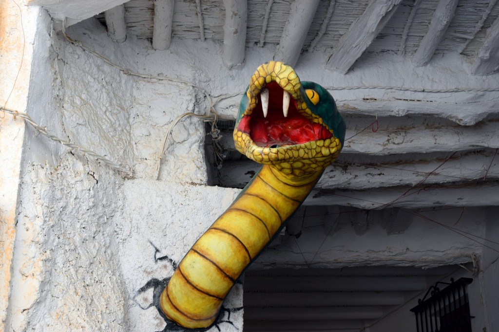 Foto: Serpiente maléfica - Soportujar (Granada), España
