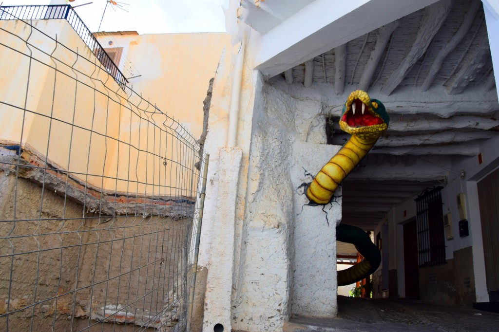 Foto: Serpiente maléfica - Soportujar (Granada), España