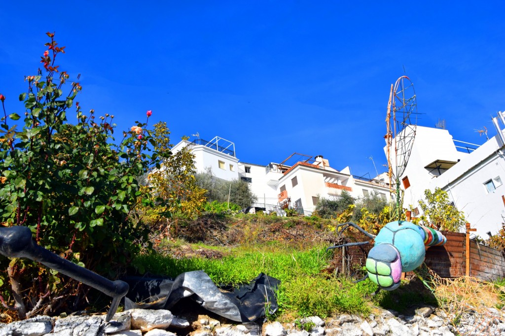 Foto: Libélulas - Soportujar (Granada), España