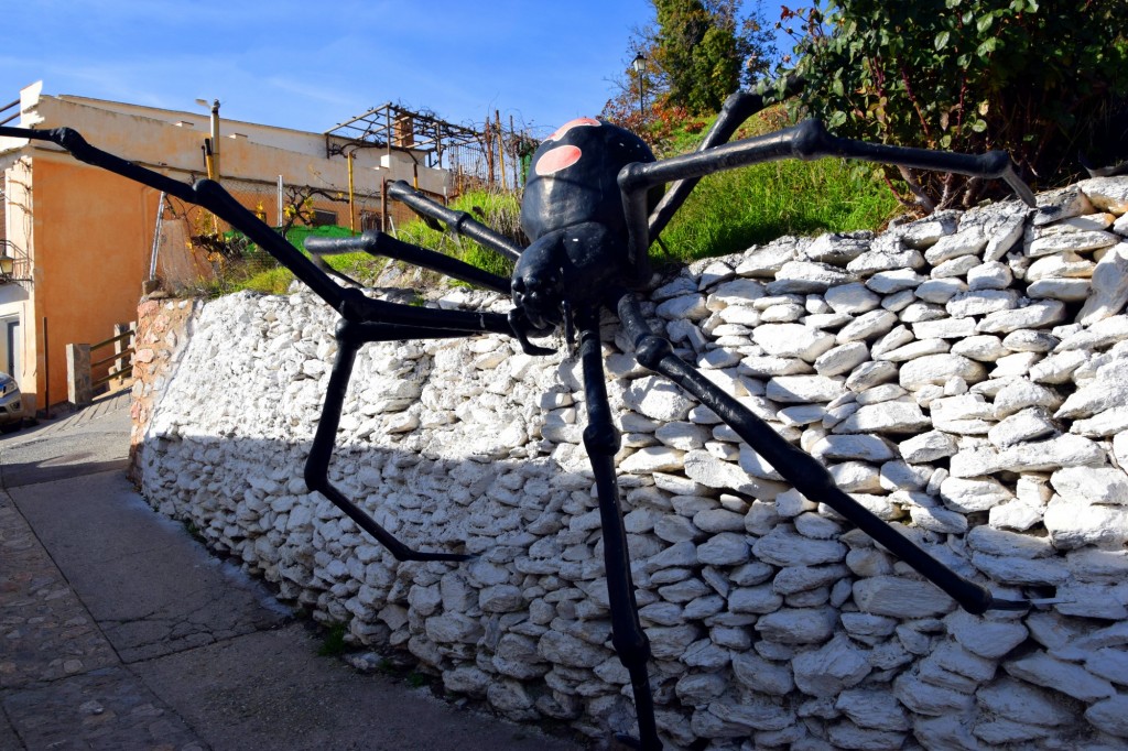 Foto: Araña trepadora - Soportujar (Granada), España