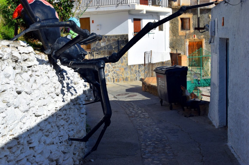 Foto: Conocida como la Viuda Negra - Soportujar (Granada), España