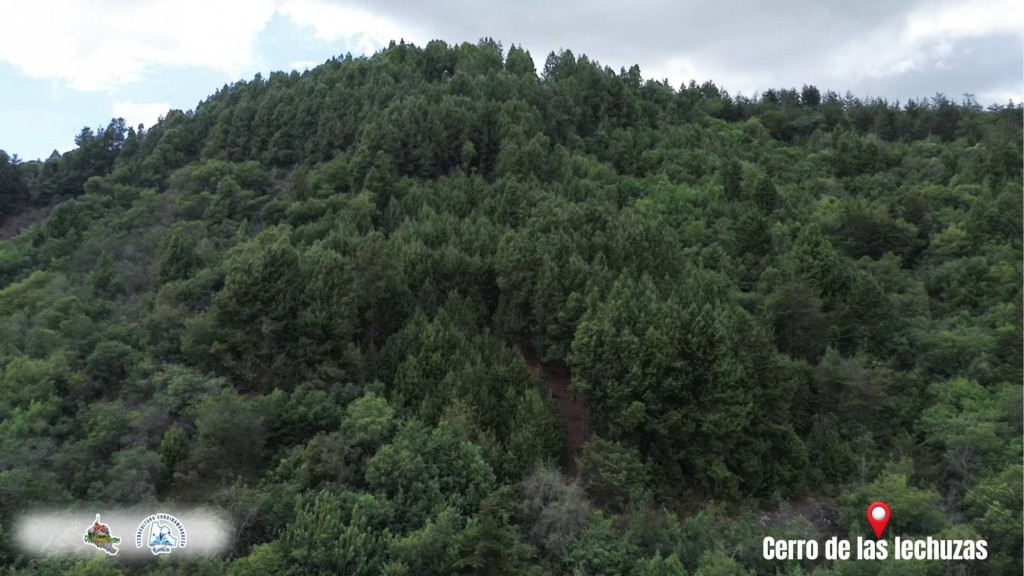 Foto: Vereda Chiguala - Cerro de las lechuzas - Villapinzón, Cundinamarca (Cundinamarca), Colombia