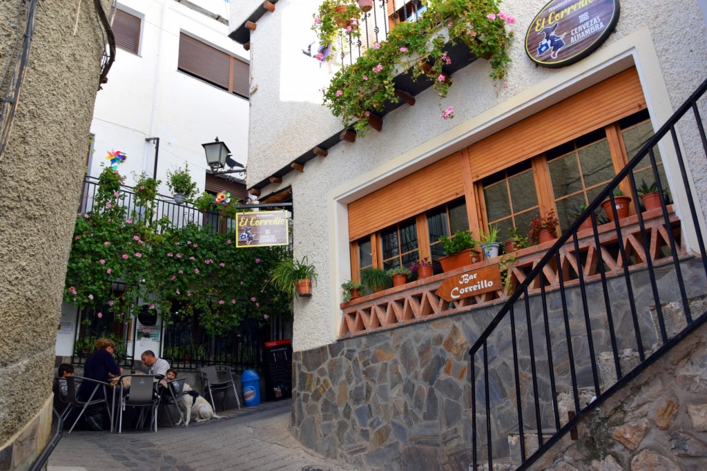 Foto: Bar Correillo - Soportujar (Granada), España
