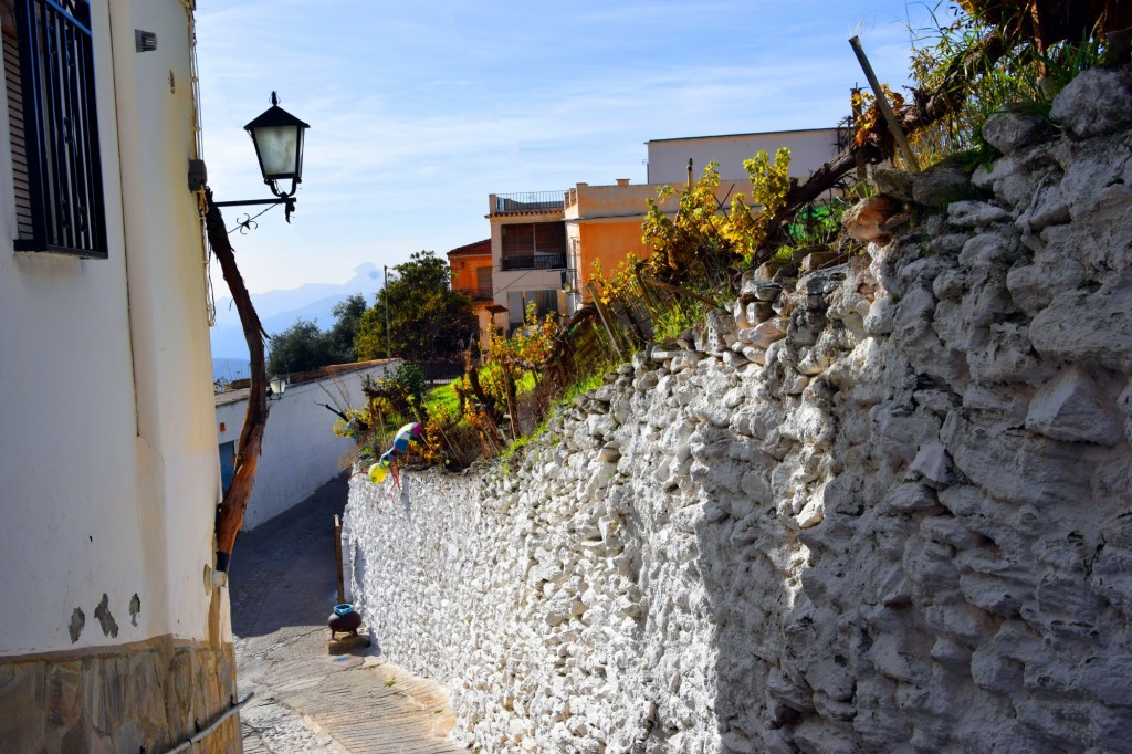 Foto: La Calle de la araña y las libelulas - Soportujar (Granada), España