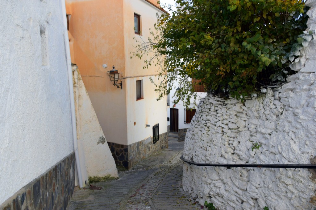 Foto: Calle Fuente - Soportujar (Granada), España