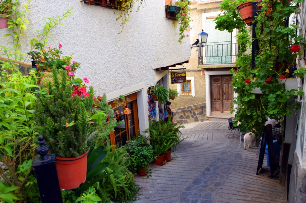 Foto: Calle Real - Soportujar (Granada), España