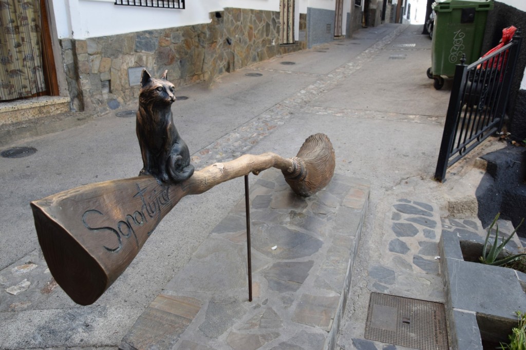Foto: Gato negro sobre la escoba - Soportujar (Granada), España