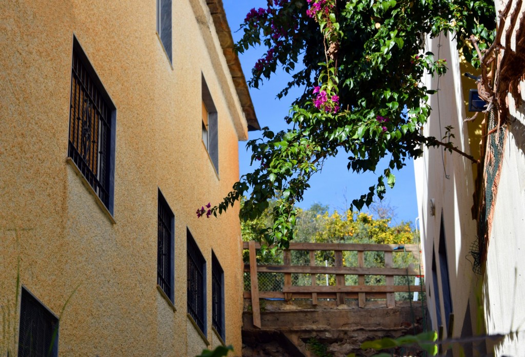 Foto: Bugambillas sobre los tinaos - Soportujar (Granada), España