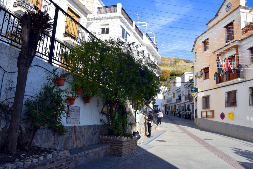 Foto: Calle Plaza de Abastos - Soportujar (Granada), España