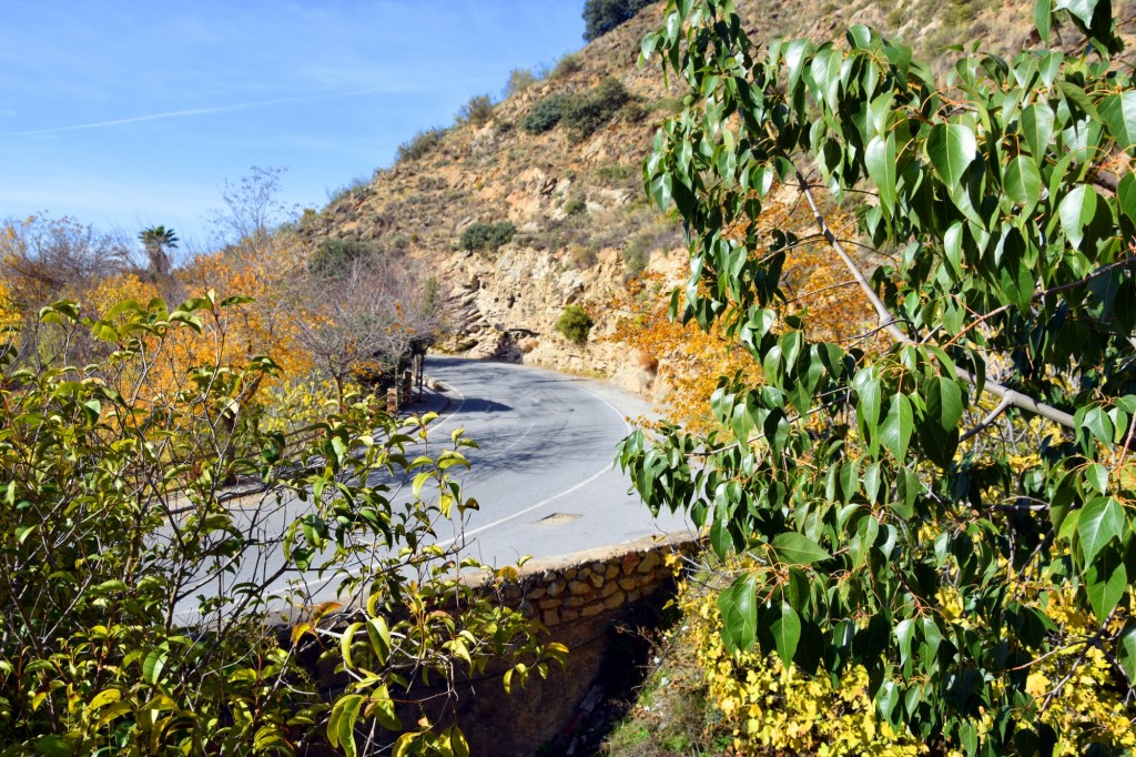 Foto: La Curva - Soportujar (Granada), España