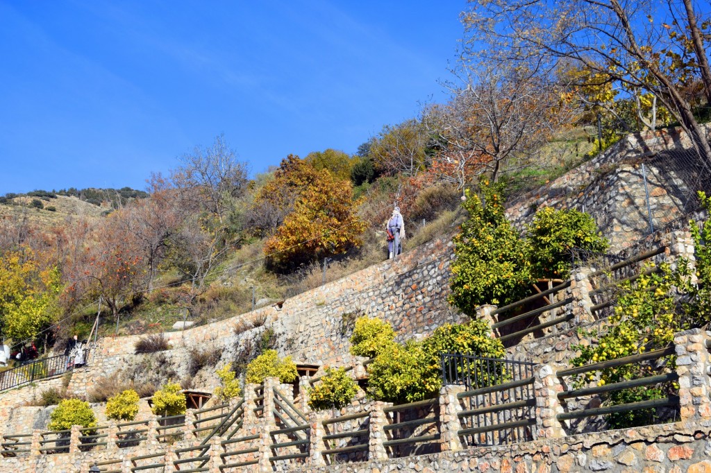 Foto: Zona alta de los leones - Soportujar (Granada), España