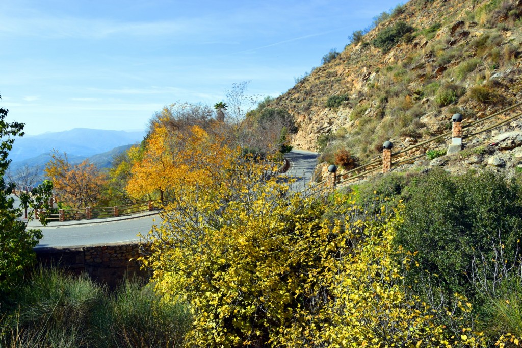 Foto: El Puente - Soportujar (Granada), España