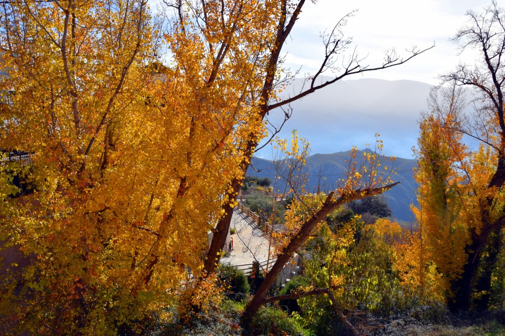 Foto: Vistas a Río Seco - Soportujar (Granada), España