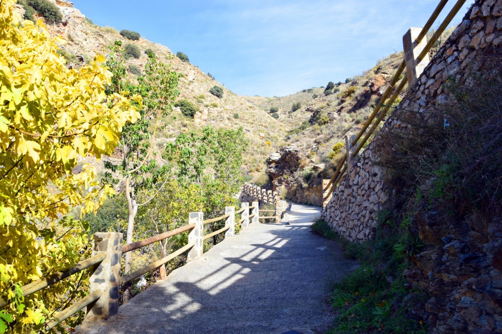 Foto: Carriles por el Barranco de la Cueva - Soportujar (Granada), España