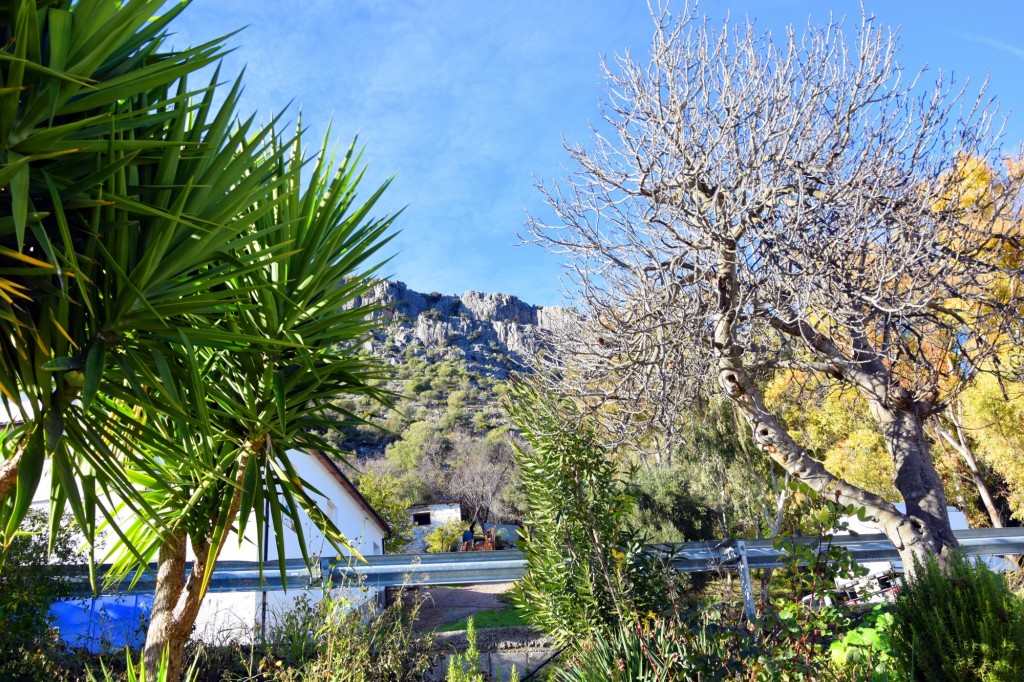 Foto de Benaoján (Málaga), España