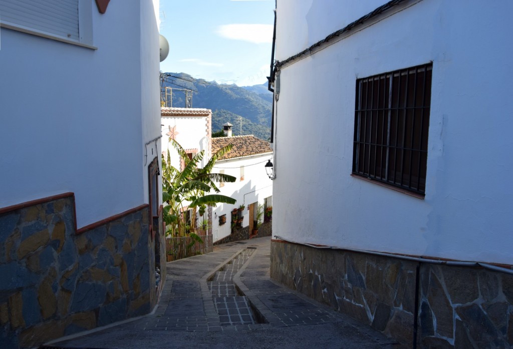 Foto: Escalonada Barrio Alto - Benaoján (Málaga), España