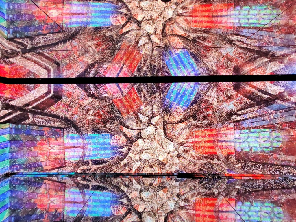 Foto: Museo White Rabbit - Barcelona (Cataluña), España