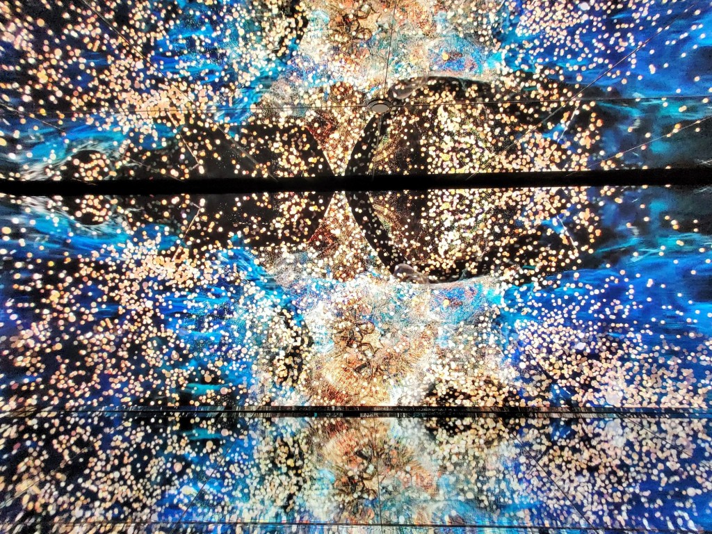 Foto: Museo White Rabbit - Barcelona (Cataluña), España