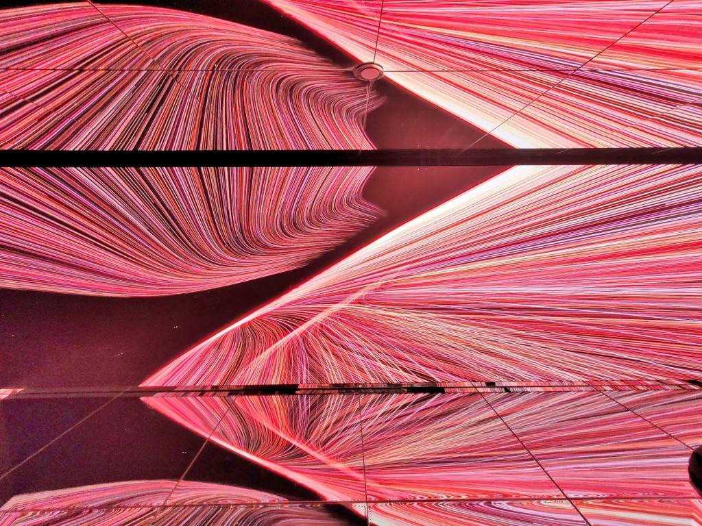 Foto: Museo White Rabbit - Barcelona (Cataluña), España