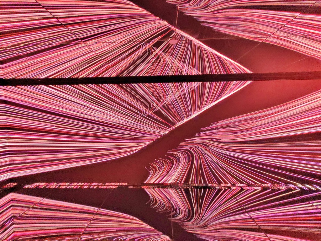 Foto: Museo White Rabbit - Barcelona (Cataluña), España