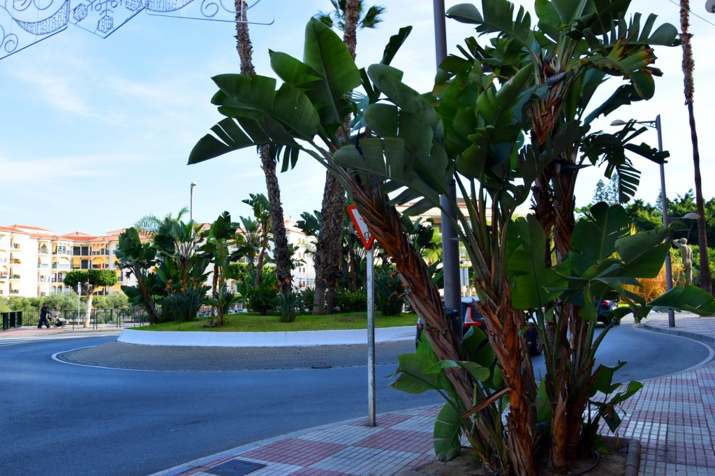 Foto de Almuñecar (Granada), España