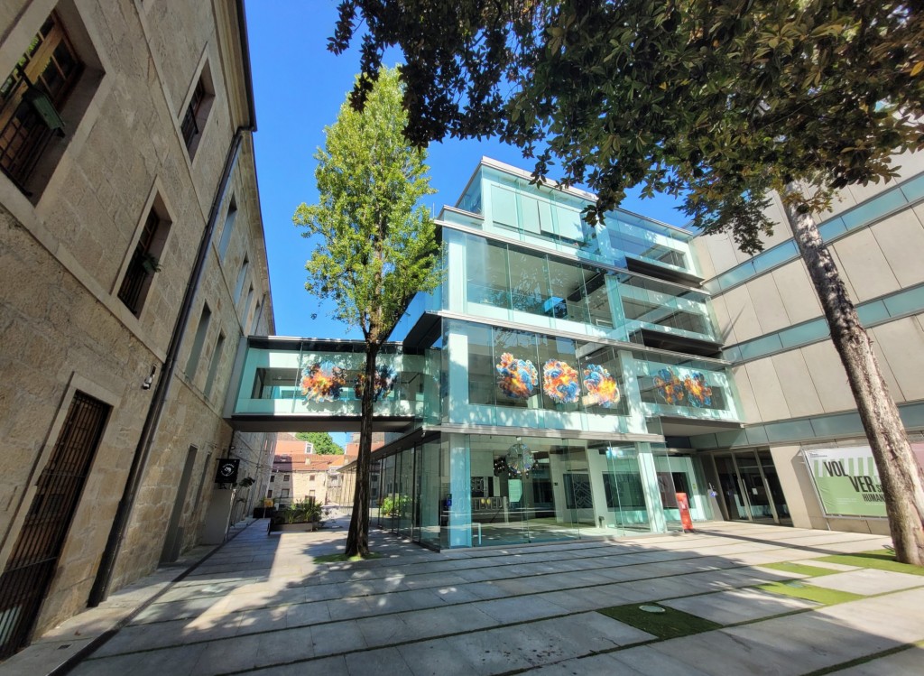 Foto: Museo Provincial - Pontevedra (Galicia), España