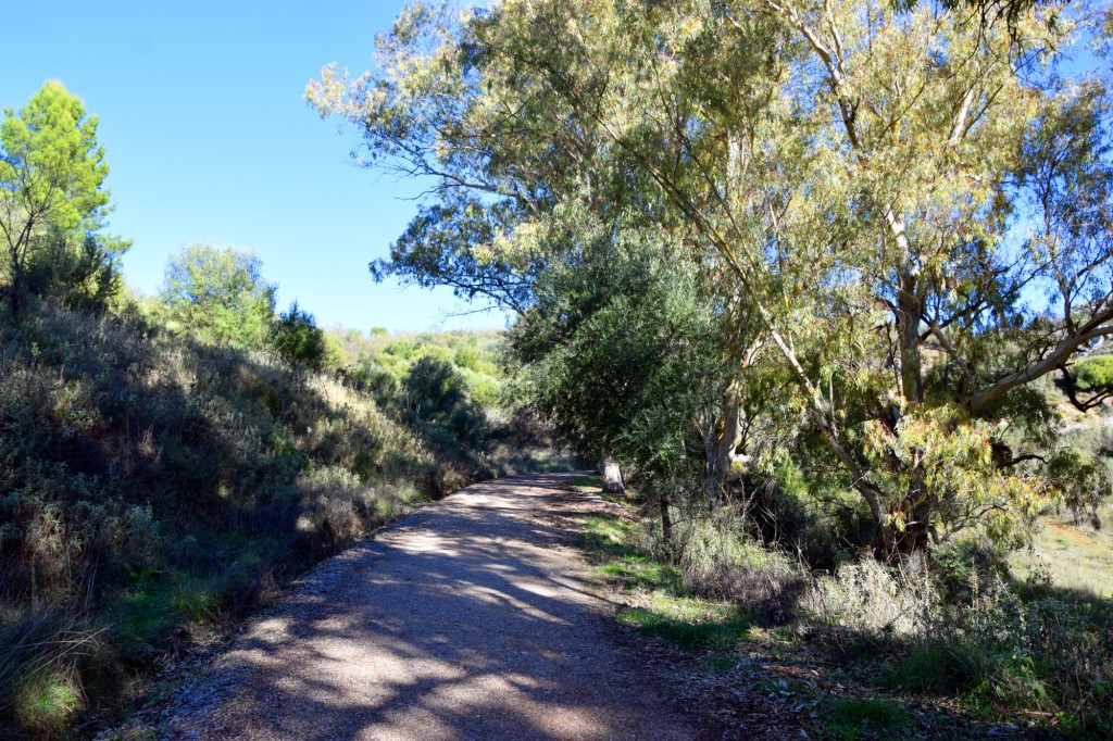 Foto: Sistema Hundidero - Gato y Presa de los Caballeros - Montejaque (Málaga), España