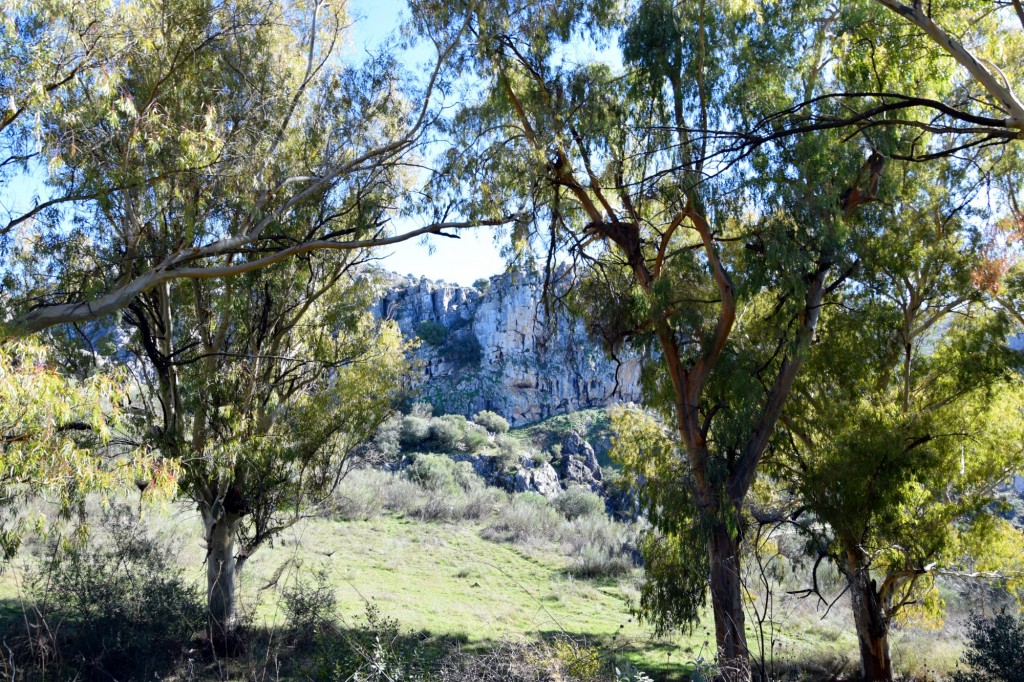 Foto: Sistema Hundidero - Gato y Presa de los Caballeros - Montejaque (Málaga), España