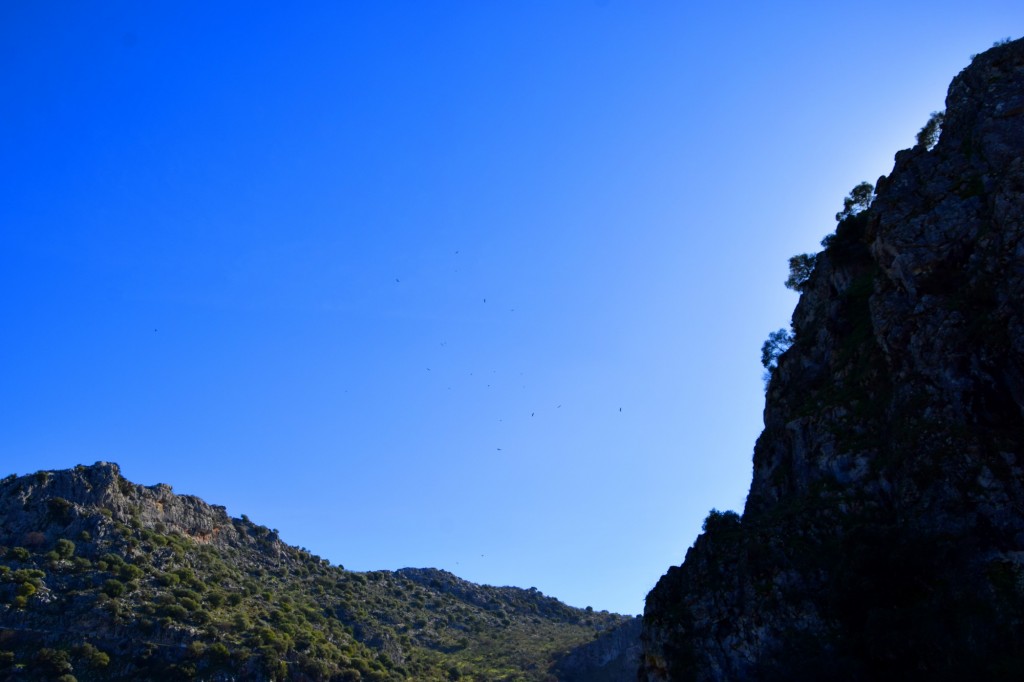 Foto: Sistema Hundidero - Gato y Presa de los Caballeros - Montejaque (Málaga), España