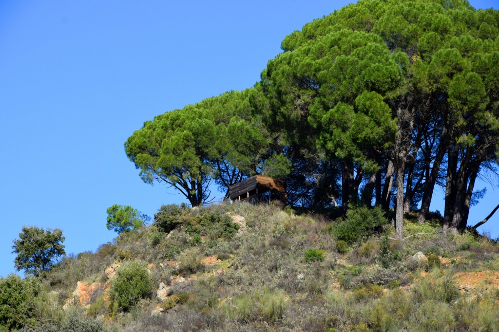 Foto: Sistema Hundidero - Gato y Presa de los Caballeros - Montejaque (Málaga), España