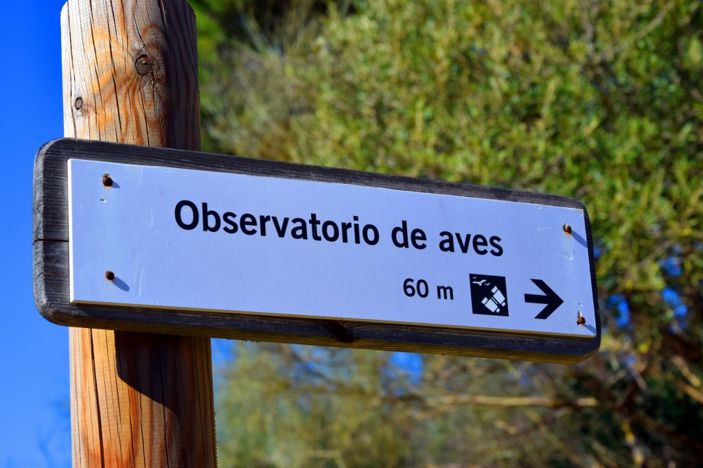 Foto: Sistema Hundidero - Gato y Presa de los Caballeros - Montejaque (Málaga), España