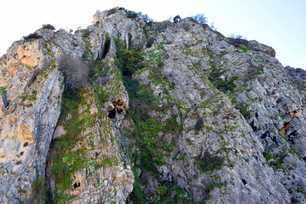 Foto: Sistema Hundidero - Gato y Presa de los Caballeros - Montejaque (Málaga), España