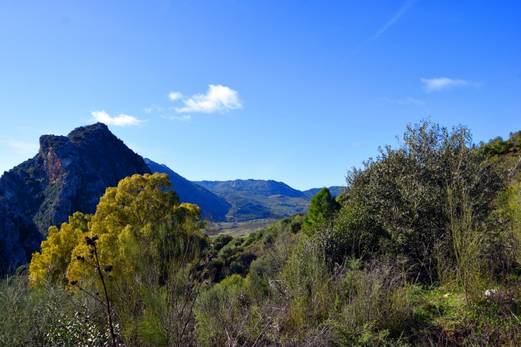 Foto: Sistema Hundidero - Gato y Presa de los Caballeros - Montejaque (Málaga), España