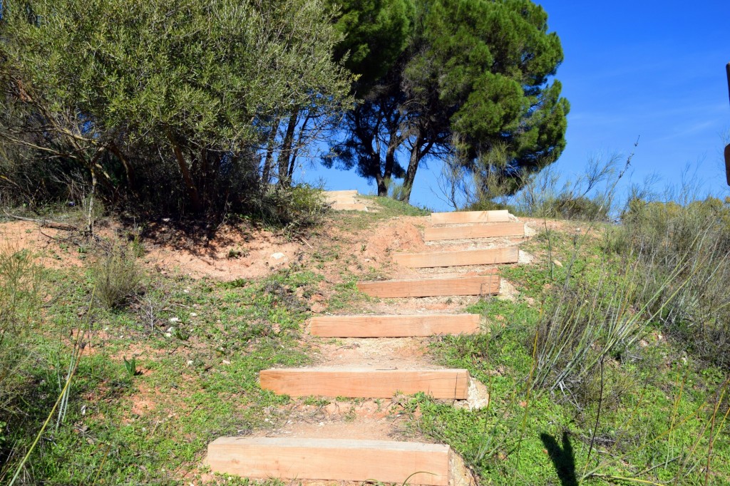Foto: Subida al observatorio de aves - Montejaque (Málaga), España