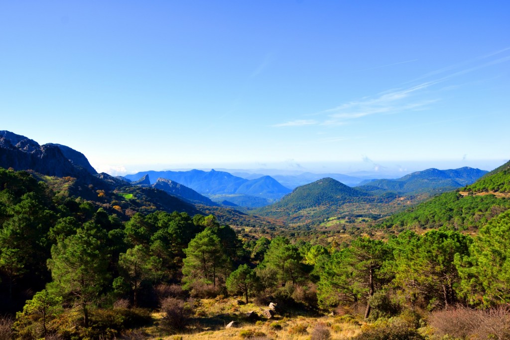 Foto: Puerto del Boyar 1.103 m - Grazalema (Cádiz), España