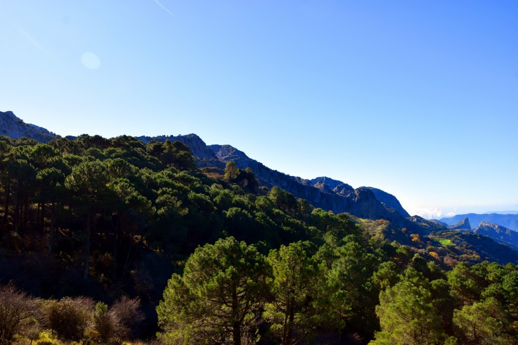 Foto: Puerto del Boyar 1.103 m - Grazalema (Cádiz), España