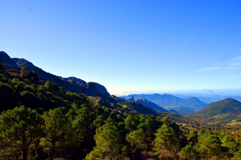 Foto: Puerto del Boyar 1.103 m - Grazalema (Cádiz), España