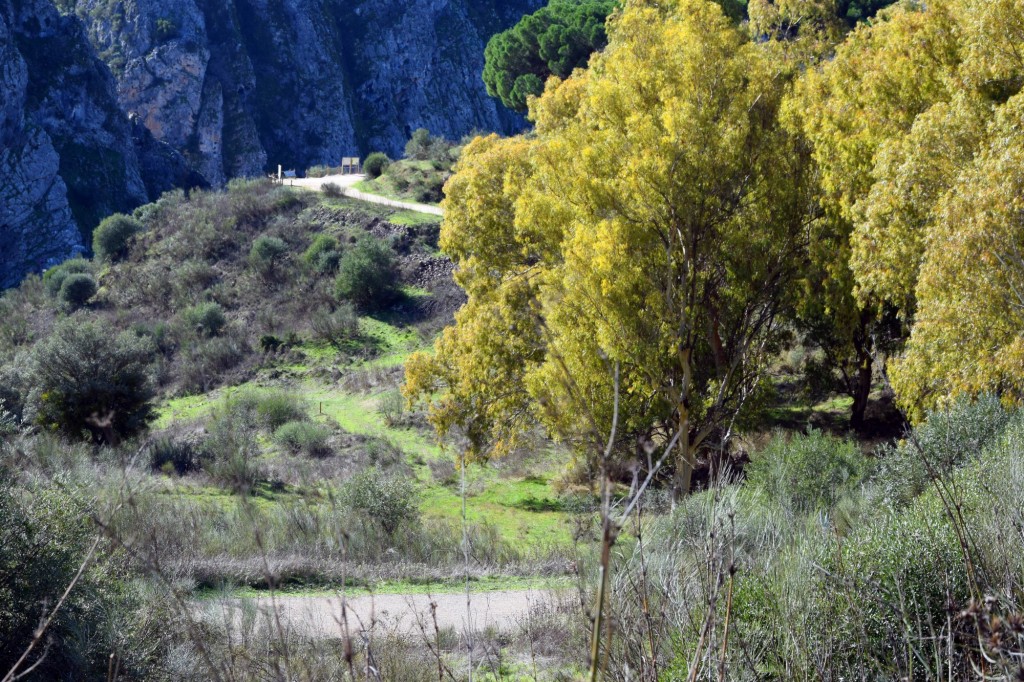 Foto: Sistema Hundidero - Gato y Presa de los Caballeros - Montejaque (Málaga), España
