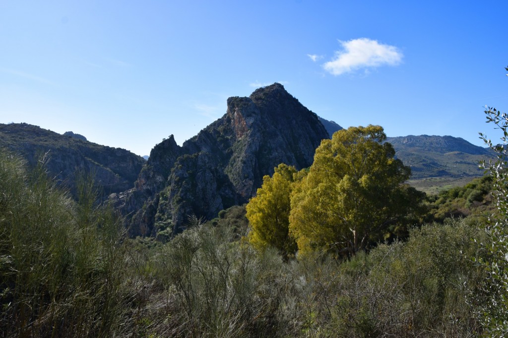 Foto: Sistema Hundidero - Gato y Presa de los Caballeros - Montejaque (Málaga), España