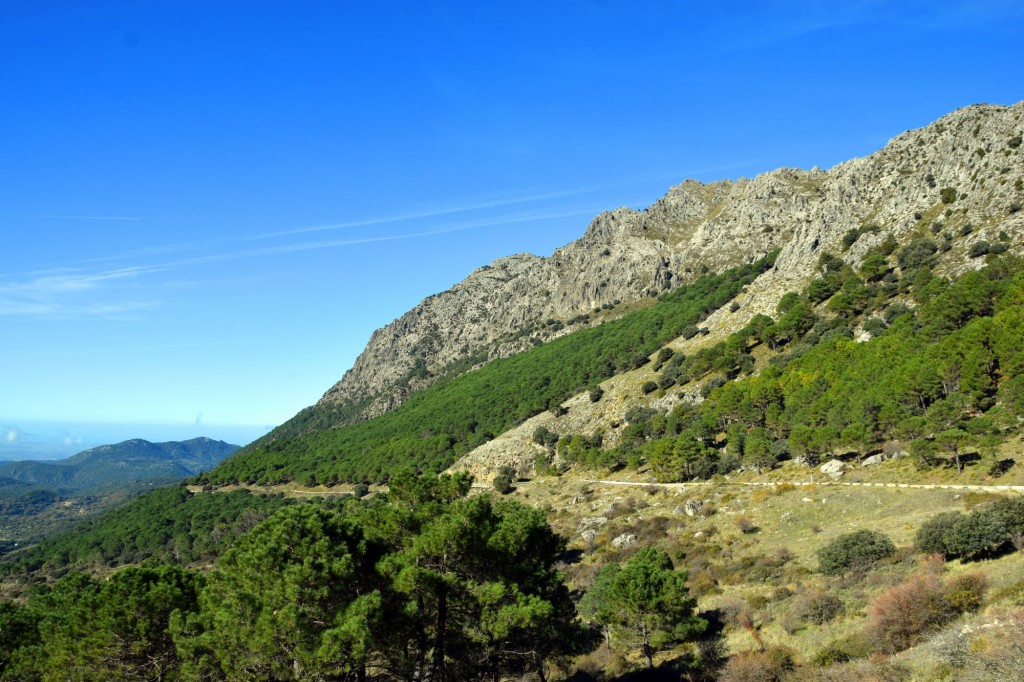 Foto: Puerto del Boyar 1.103 m - Grazalema (Cádiz), España
