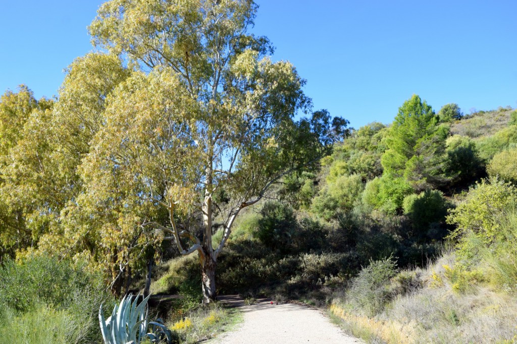 Foto: Sistema Hundidero - Gato y Presa de los Caballeros - Montejaque (Málaga), España