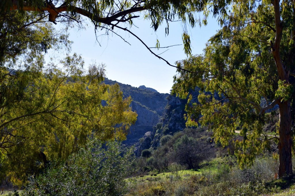 Foto: Sistema Hundidero - Gato y Presa de los Caballeros - Montejaque (Málaga), España