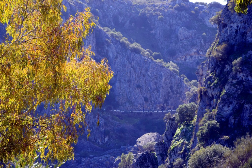 Foto: Sistema Hundidero - Gato y Presa de los Caballeros - Montejaque (Málaga), España